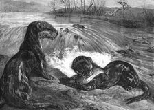 The months: March, 1871. Creator: Horace Harral