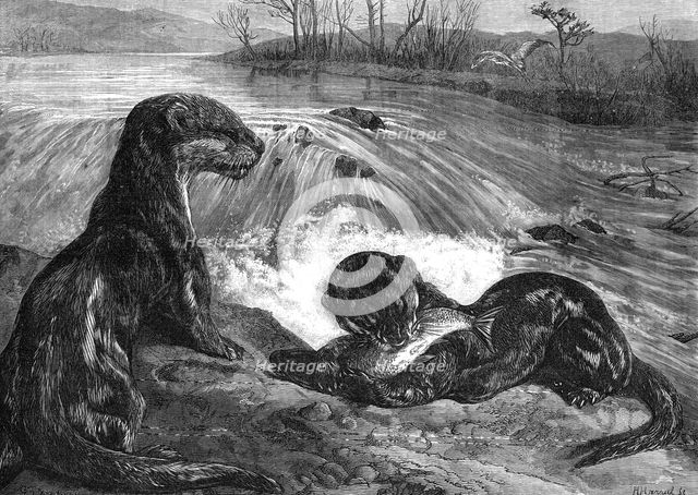 The months: March, 1871. Creator: Horace Harral.