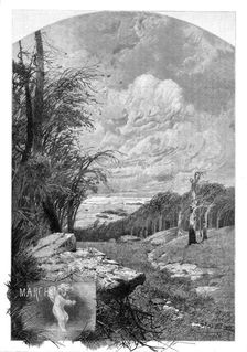 The Months: March, 1880. Creator: Unknown