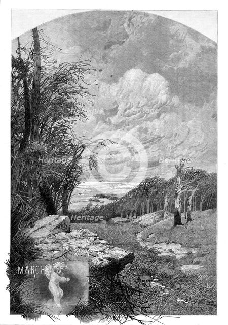 The Months: March, 1880. Creator: Unknown.