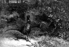 The Months: October, 1871. Creator: Horace Harral