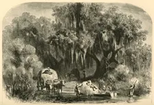 The Moss-Gatherers 1872. Creator: Alfred Waud