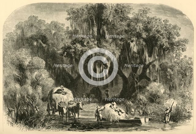 'The Moss-Gatherers', 1872.  Creator: Alfred Waud.