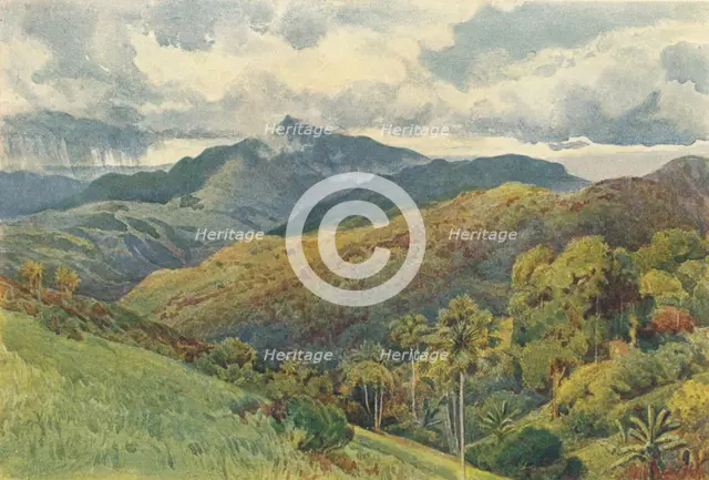 'The Mountains from Pallekelly', c1880 (1905). Creator: Alexander Henry Hallam Murray.