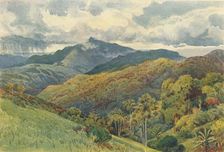 The Mountains from Pallekelly c1880 (1905). Creator: Alexander Henry Hallam Murray