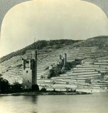 The Mouse Tower and Ehrenfels Castle on the Rhine, Germany c1930s. Creator: Unknown