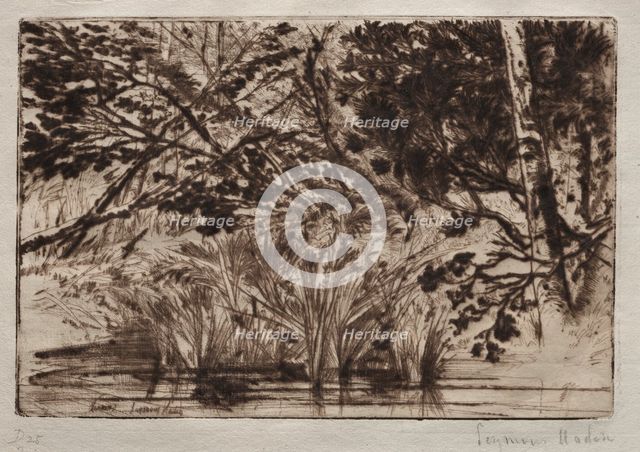 The Mouth of a Brook (Second Plate). Creator: Francis Seymour Haden (British, 1818-1910).