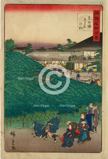 The Naniwaya Pine Tree at Sakai in Izumi Province (One Hundred Famous Views in the Various... 1859. Creator: Utagawa Hiroshige II.