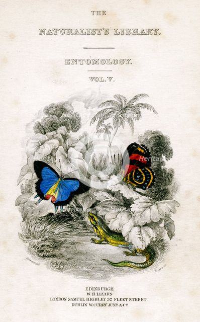 'The Naturalist's Library, Entomology, Vol V', Butterflies, c1833-1865.Artist: William Home Lizars