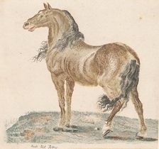 The Neighing Horse, 1690s. Creator: Johann Teyler