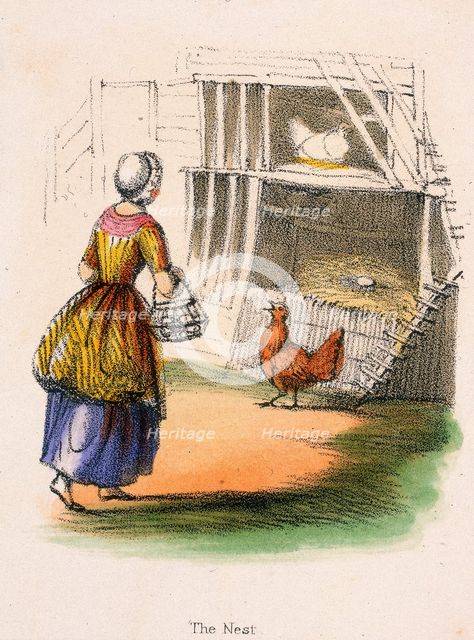 'The Nest', c1845. Creators: Robert Kent Thomas, Benjamin Waterhouse Hawkins.
