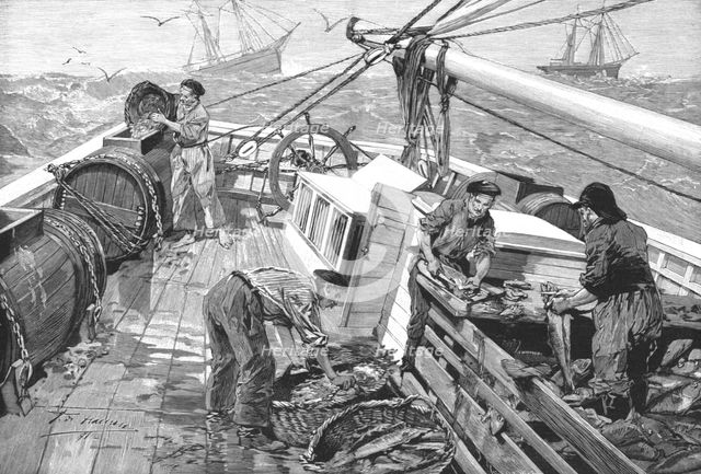 'The Newfoundland Cod Fishery; The "Parks," or Moveable Enclosures, on Board the Fishing...', 1891. Creator: Unknown.