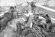 The Newfoundland Cod Fishery; The "Parks," or Moveable Enclosures, on Board the Fishing... 1891. Creator: Unknown