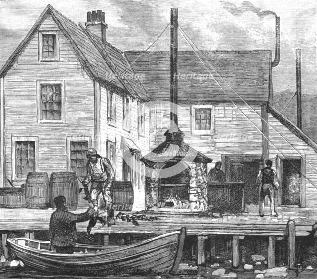 ''The Newfoundland Fisheries Question - Newfoundland Lobster Factory on the French Shore', 1890. Creator: Unknown.