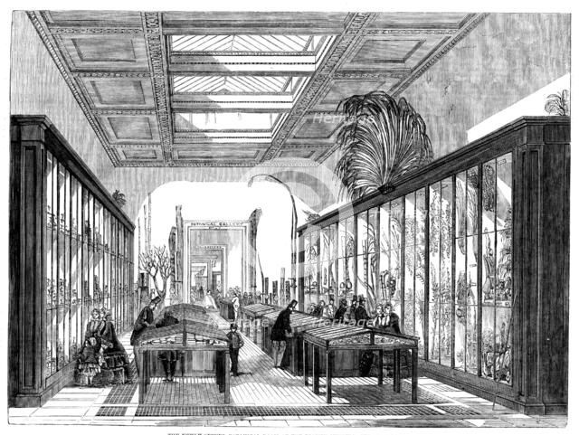 The Newly Opened Botanical Room at the British Museum, 1858. Creator: Unknown.