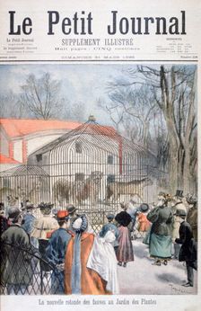 The new wildcat house at the Jardin des Plantes, Paris, 1895. Artist: Oswaldo Tofani