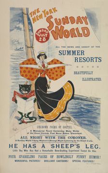 The New York Sunday world. Sunday July 28. 1895, c1893 - 1897. Creator: Unknown