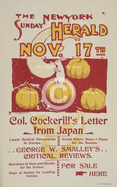 The New York Sunday herald. Nov. 17th., c1895. Creator: Charles Hubbard Wright.
