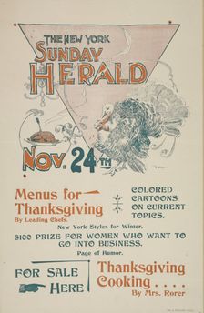 The New York Sunday herald. Nov. 28th., c1895. Creator: Charles Hubbard Wright