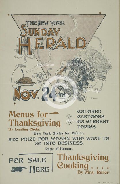 The New York Sunday herald. Nov. 28th., c1895. Creator: Charles Hubbard Wright.