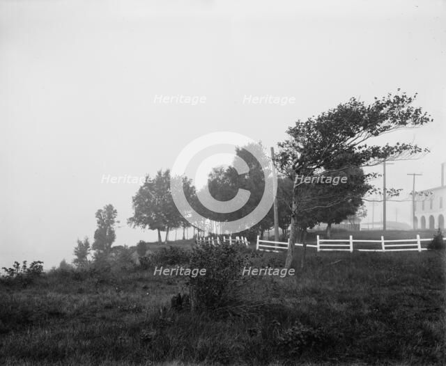 The New Arlington, Petoskey, Mich., between 1900 and 1905. Creator: Unknown.