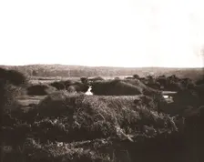 The New Forest, Hampshire, 1894. Creator: Unknown