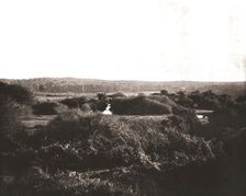 The New Forest, Hampshire, 1894. Creator: Unknown