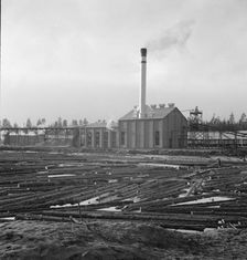 The new Gilchrist mill, open a week, lumber mill, Gilchrist, Oregon, 1939. Creator: Dorothea Lange