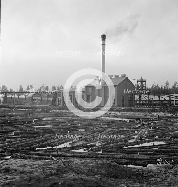 The new Gilchrist mill, open a week, lumber mill, Gilchrist, Oregon, 1939. Creator: Dorothea Lange.