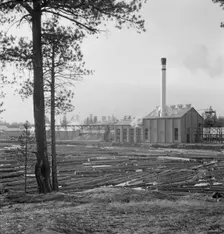 The new Gilchrist mill, open a week - lumber mill, Gilchrist, Oregon, 1939. Creator: Dorothea Lange