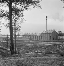 The new Gilchrist mill, open a week - lumber mill, Gilchrist, Oregon, 1939. Creator: Dorothea Lange