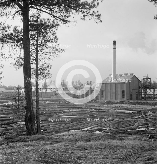 The new Gilchrist mill, open a week - lumber mill, Gilchrist, Oregon, 1939. Creator: Dorothea Lange.