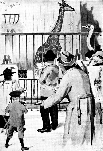 The New Giraffe at the Zoological Society's Gardens, Regent's Park: artists on duty, 1895. Creator: Unknown.