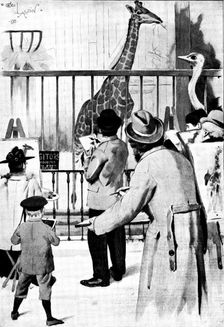 The New Giraffe at the Zoological Society's Gardens, Regent's Park: artists on duty, 1895. Creator: Unknown