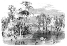 The new lake, Kew Gardens, 1860. Creator: Unknown