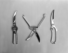 The new range of secateurs and pruners from Champion scissors of Mexborough, South Yorkshire., 1962. Creator: Michael Walters
