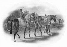 The Next Race 19th century, (1911)