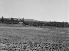 The Nieman farm showing cleared land on..., near Vader, Lewis County, Western Washington, 1939. Creator: Dorothea Lange