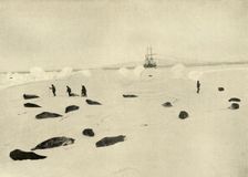 The Nimrod at Pram Point on March 4, 1909