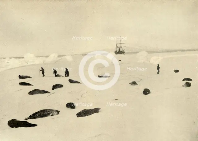 'The Nimrod at Pram Point on March 4, 1909'. Artist: Unknown.