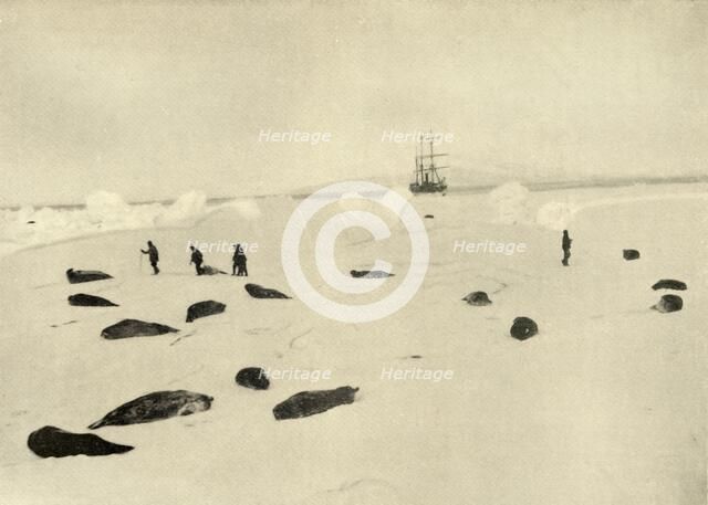 'The Nimrod at Pram Point on March 4, 1909'. Artist: Unknown.