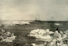 The Nimrod Lying Off The Penguin Rookery c1908, (1909)