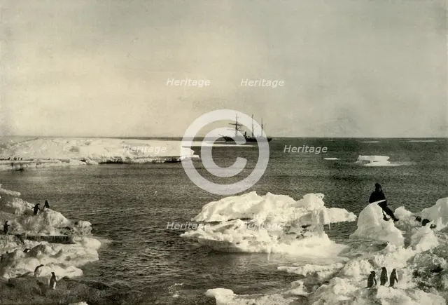 'The Nimrod Lying Off The Penguin Rookery', c1908, (1909).  Artist: Unknown.