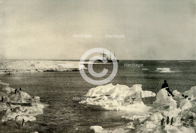 'The Nimrod Lying Off The Penguin Rookery', c1908, (1909).  Artist: Unknown.