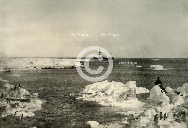 'The Nimrod Lying Off The Penguin Rookery', c1908, (1909).  Artist: Unknown.