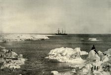 The Nimrod Lying Off The Penguin Rookery c1908, (1909)