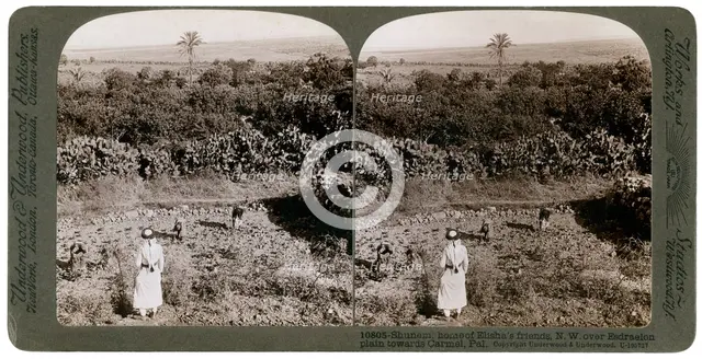 The north-west view from Shunem, across the Plain of Esdraelon, towards Carmel, 1900s.Artist: Underwood & Underwood