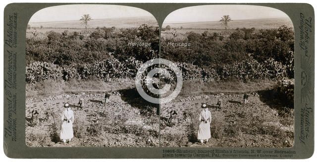 The north-west view from Shunem, across the Plain of Esdraelon, towards Carmel, 1900s.Artist: Underwood & Underwood