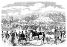 The Northamptonshire Agricultural Society's show in Burghley Park, near Stamford, 1862. Creator: Unknown