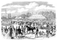 The Northamptonshire Agricultural Society's show in Burghley Park, near Stamford, 1862. Creator: Unknown